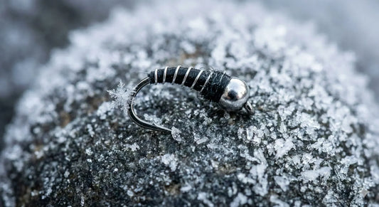 Macro close-up of a black and silver zebra midge fly resting on an icy rock, showing the tiny scale required for winter trout.