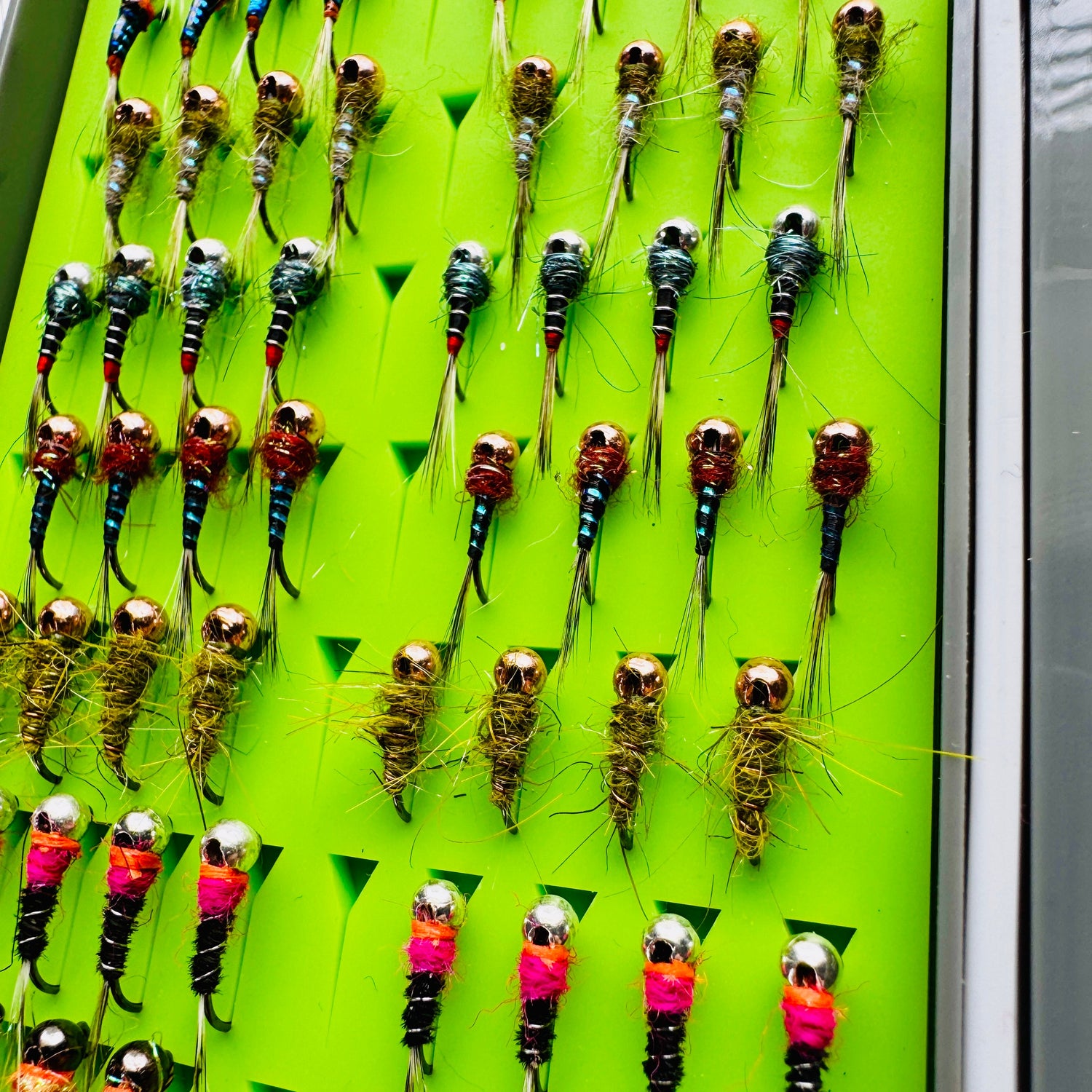 Nymphs