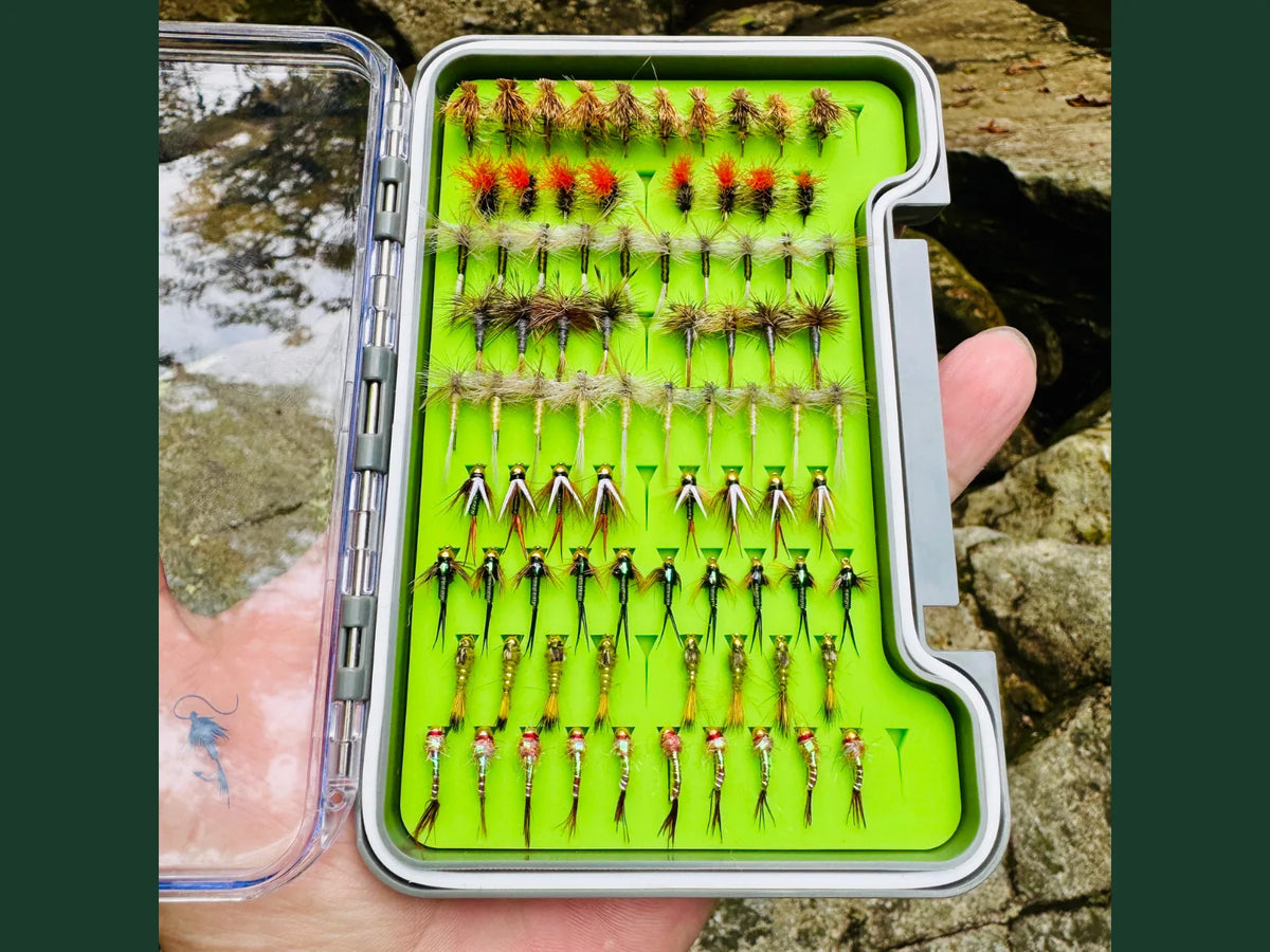 Loaded fly box held streamside, open to show rows of hand-tied dry flies, midges, and nymphs on green foam insert