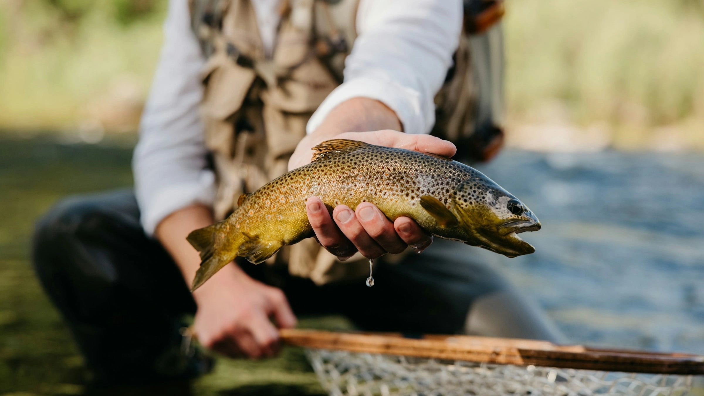 man holding brown trout in river